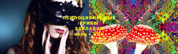 ГАЛЛЮЦИНОГЕННЫЕ ГРИБЫ Алзамай