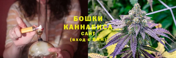 ГАЛЛЮЦИНОГЕННЫЕ ГРИБЫ Алзамай