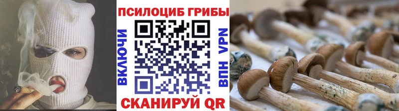 где продают   Чаплыгин  Псилоцибиновые грибы мухоморы 